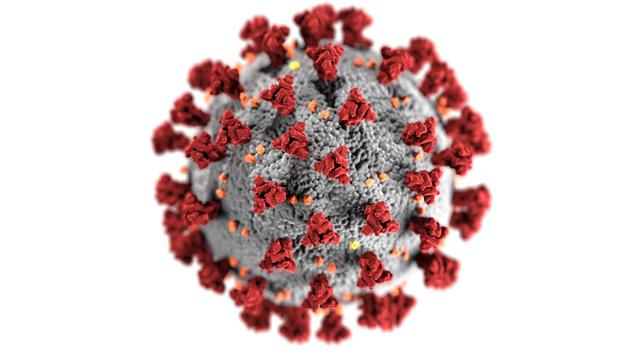Coronavirus. Photo: Pexels