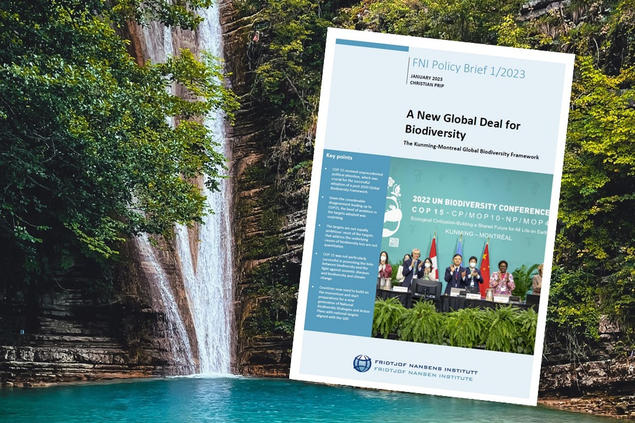 FNI senior researcher Christian Prip just published a new Policy Brief on the recent COP15 of the UN Biodiversity conference. Photo: Beyza Erdem, Pexels/FNI