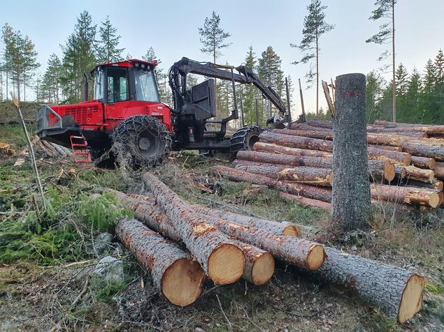 Forest Harvesting Machine.  Photo: Lars H. Gulbrandsen/FNI
